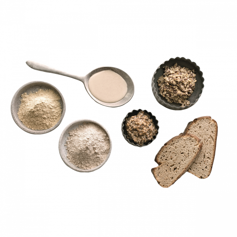 Hauptbild: BÖCKER Sauerteige