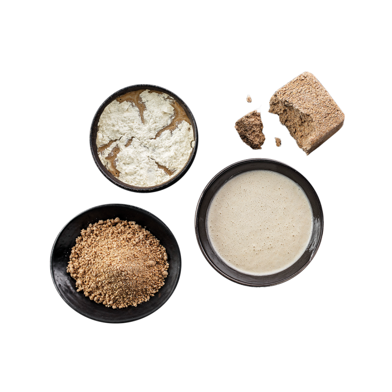 Verschiedene BÖCKER Sauerteig-Starter in flüssiger und getrockneter Form