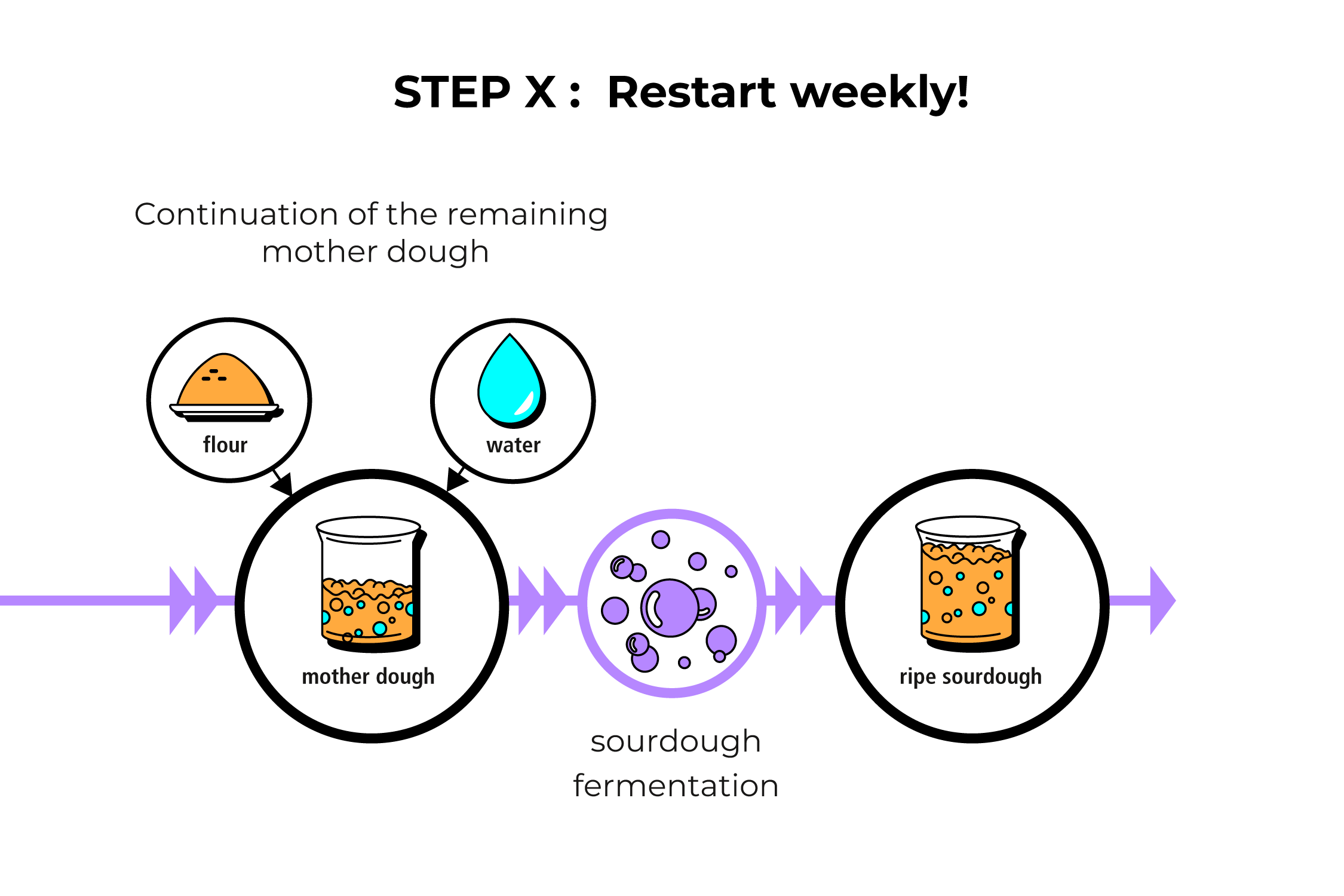 Step X