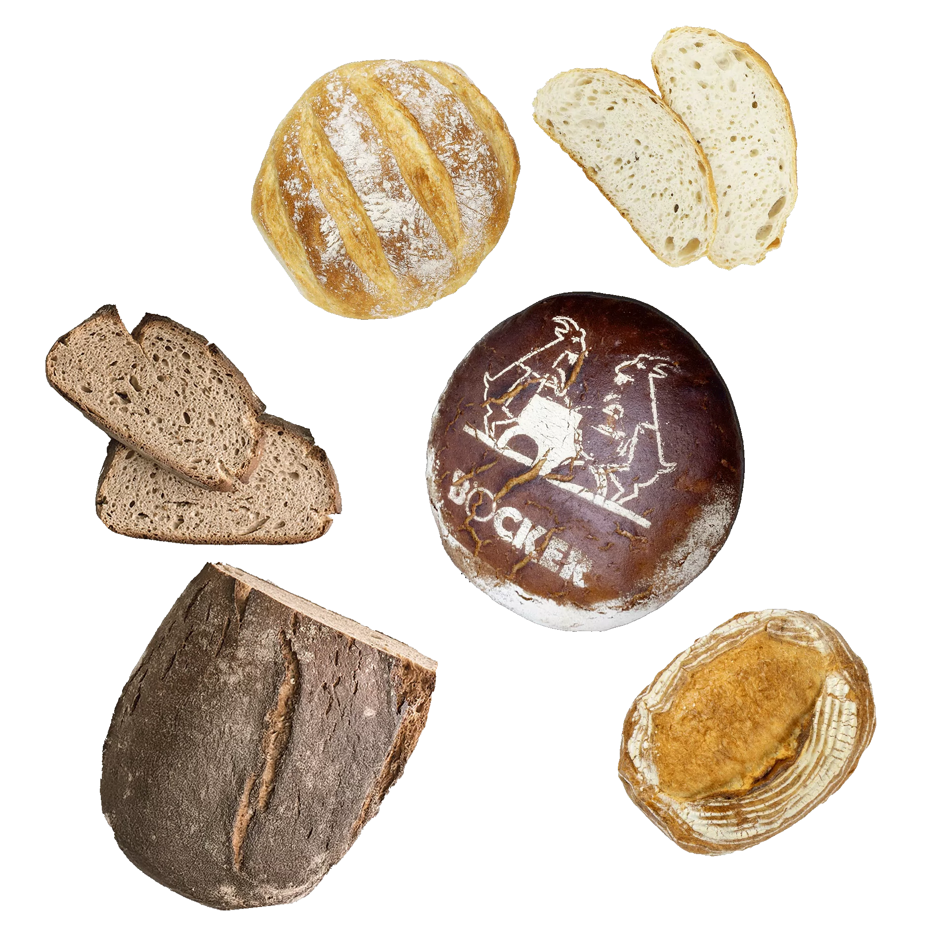 Verschiedene Brote und Brötchen aus BÖCKER Sauerteigen