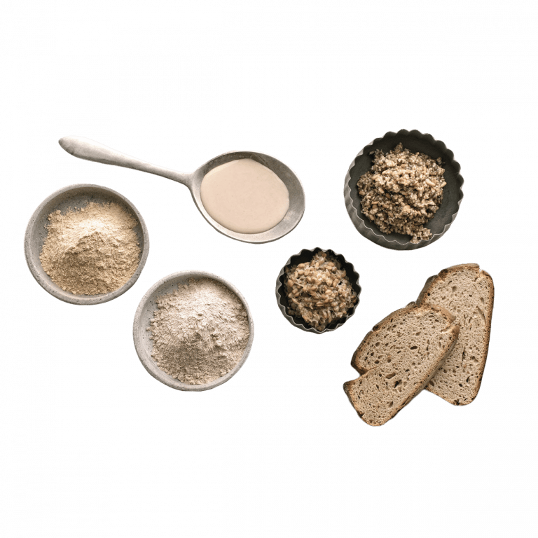 Various BÖCKER sourdough products in powder, starter, and bread form