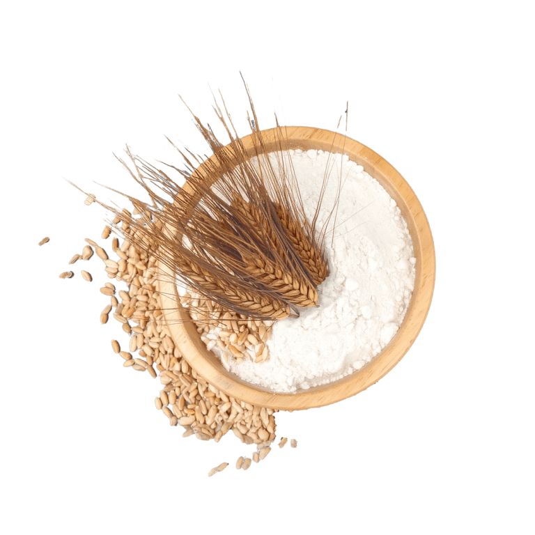 Durum wheat and ground wheat flour as raw materials for BÖCKER sourdough varieties