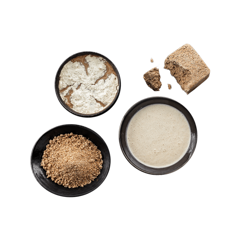 Various BÖCKER sourdough starters in liquid and dried form