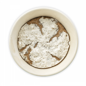 BOE_Reinzucht_Sauerteig_Was -st-Sauerteig_01